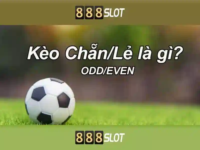 An toàn và cấp phép