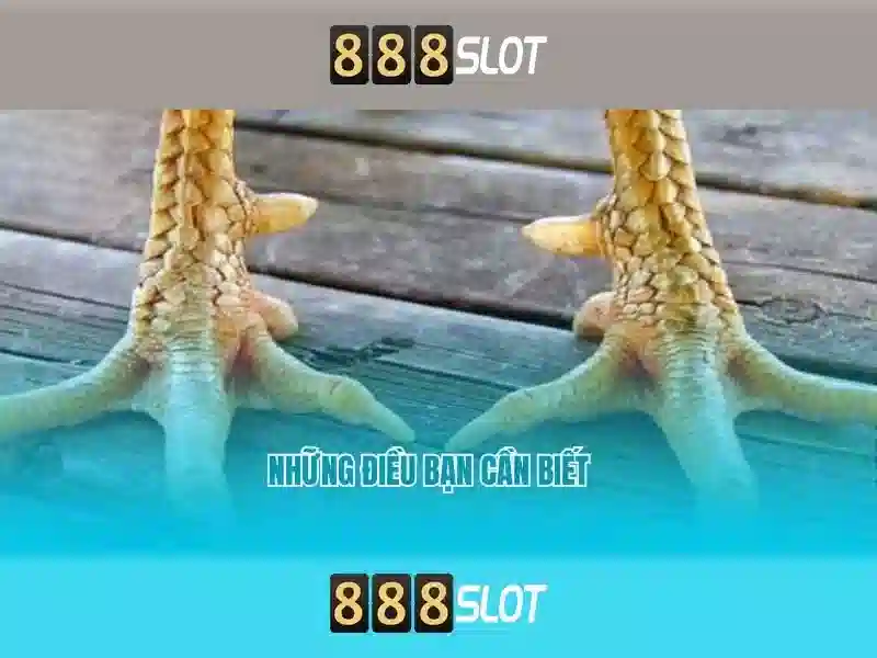 Trải nghiệm người dùng và an toàn