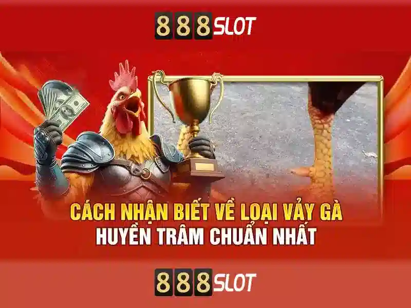 Kết luận và lưu ý khi chơi