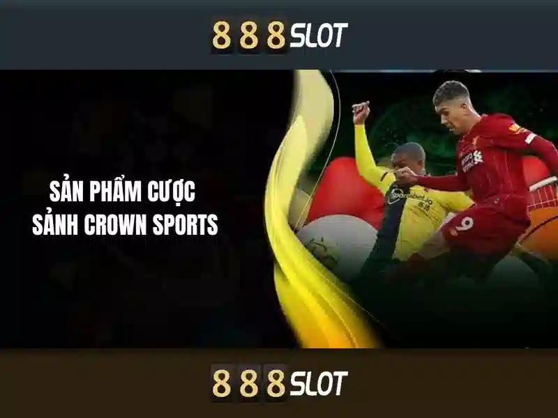 An toàn và cấp phép