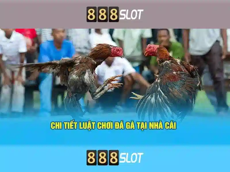 Giới thiệu về 888slot