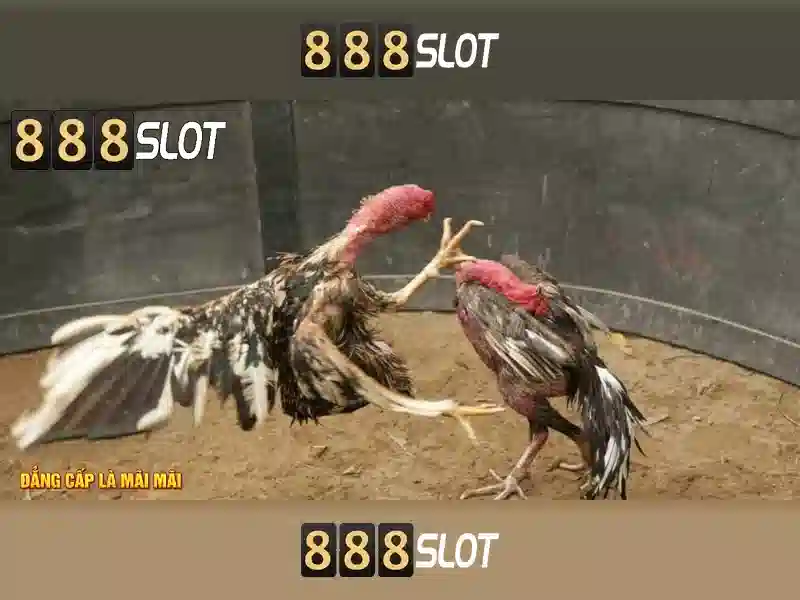 baccarat 888slot