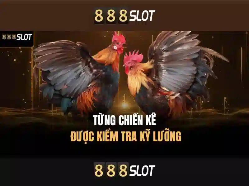 Giới thiệu về 888slot