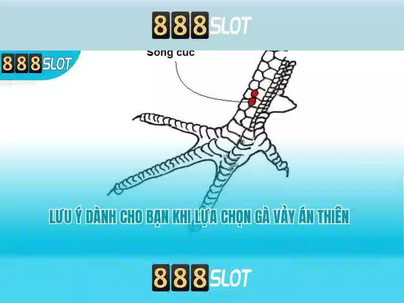 Trải nghiệm chơi slot đa dạng với 888slot