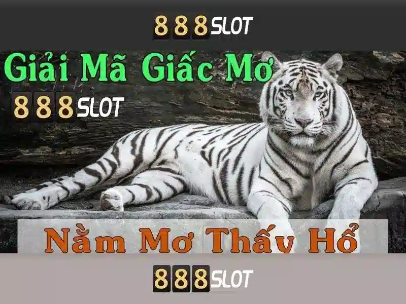 888slot: Cổng chơi slot trực tuyến hàng đầu