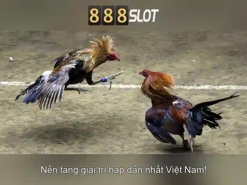 baccarat 888slot