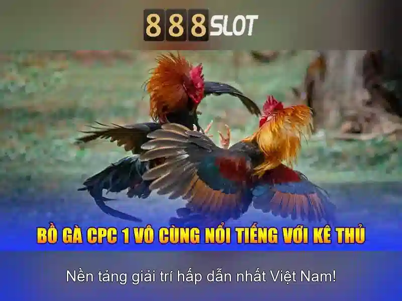 Ưu đãi và chương trình thưởng