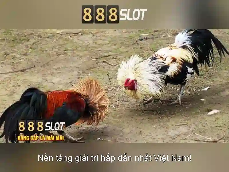 An tâm về bảo mật và thanh toán