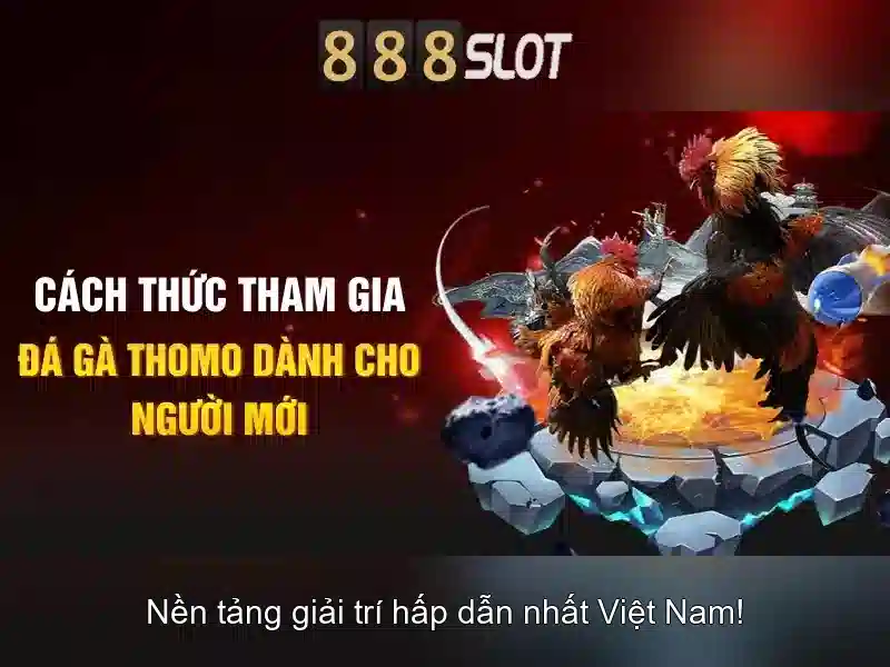 Hỗ trợ khách hàng và di động